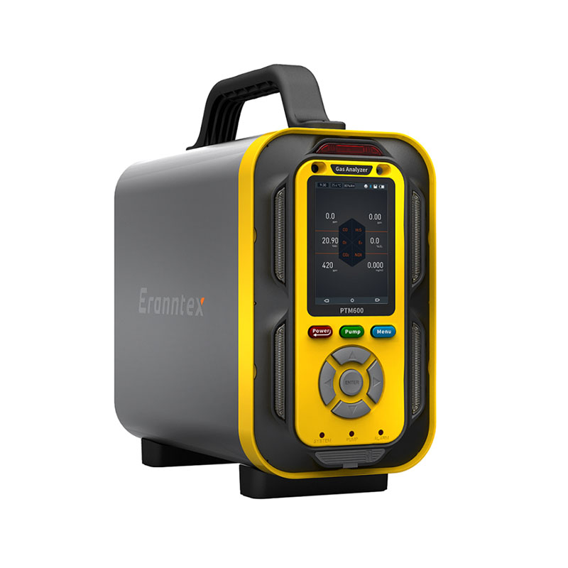 手提式複合型氣體黄瓜视频免费版 PTM600-3X